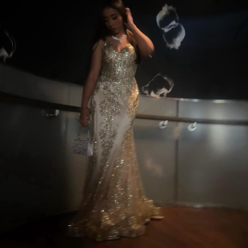 Elegant Gold and Silver Evening Gown